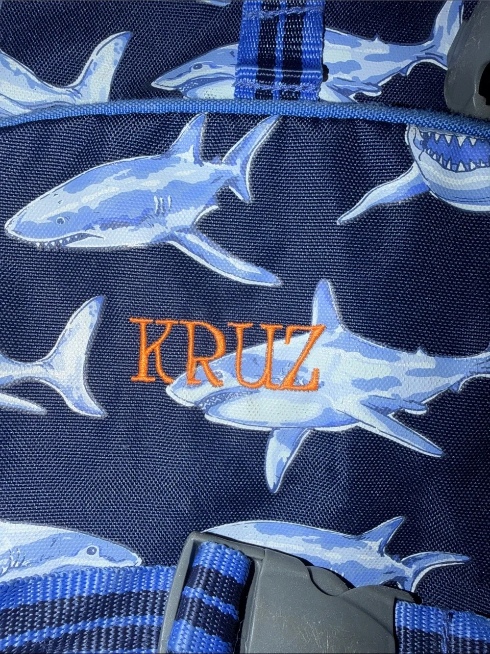 Pottery Barn Teen Navy Shark Backpack with Matching Lunch Bag
